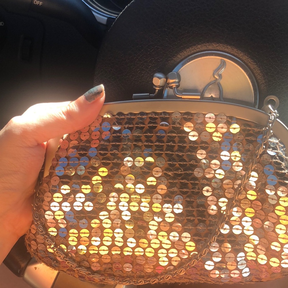 Beautiful sequined clutch
